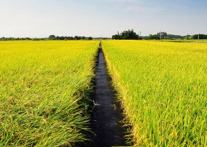 2015-06-04-222810-84