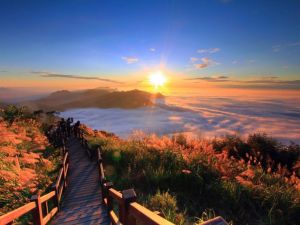 JQTttuvdyYSldpwvuNeYRn